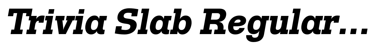 Trivia Slab Regular-Bold Italic